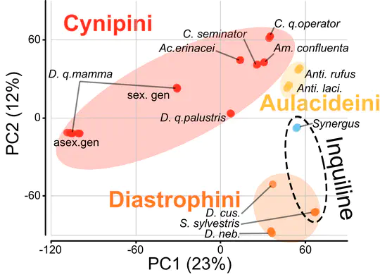 (2020-2024) Transcriptomic study of Cynipid venom glands