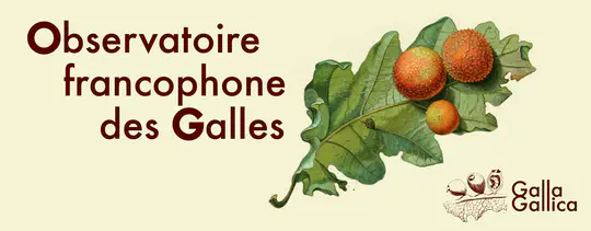 Lien pour rejoindre le projet