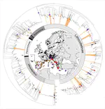 Evaluating DNA barcoding for species identification and discovery in European gracillariid moths