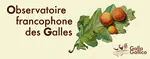 Creation of iNaturalist project on galls